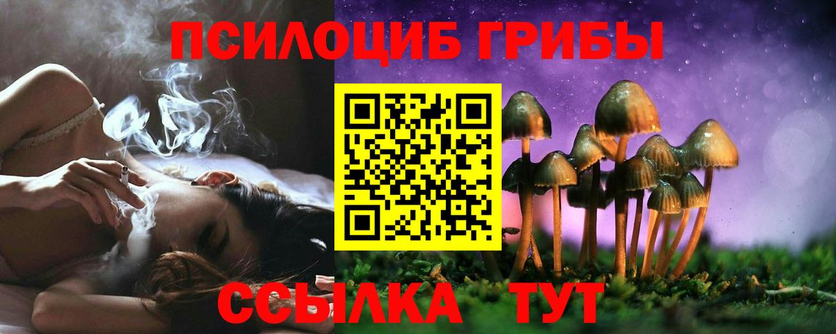 Псилоцибиновые грибы Magic Shrooms  Вход с VPN  Иваново  Псилоцибиновые грибы GOLDEN TEACHER 